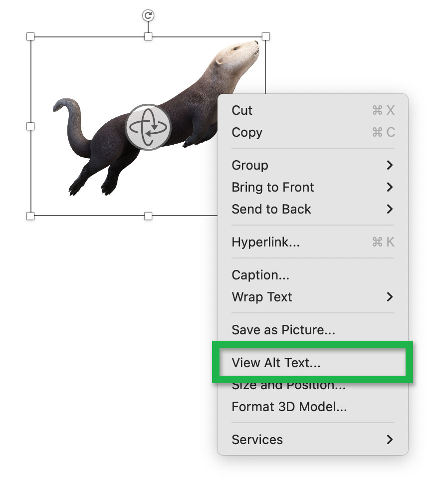 Screenshot highlighting the location of the 'Header Row' checkbox in Word