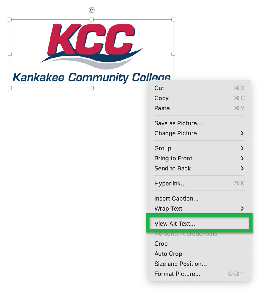 Screenshot highlighting the 'View Alt Text...' option when right clicking on an image